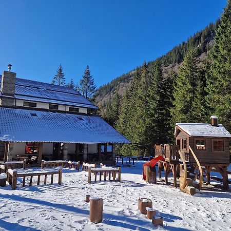 Cabana Conacul Ursului Cumpana  Экстерьер фото